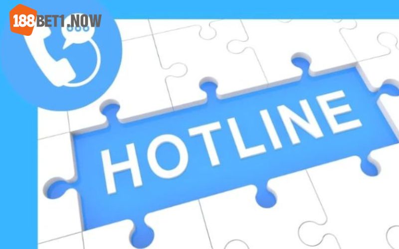 Chăm sóc khách hàng qua kênh Hotline