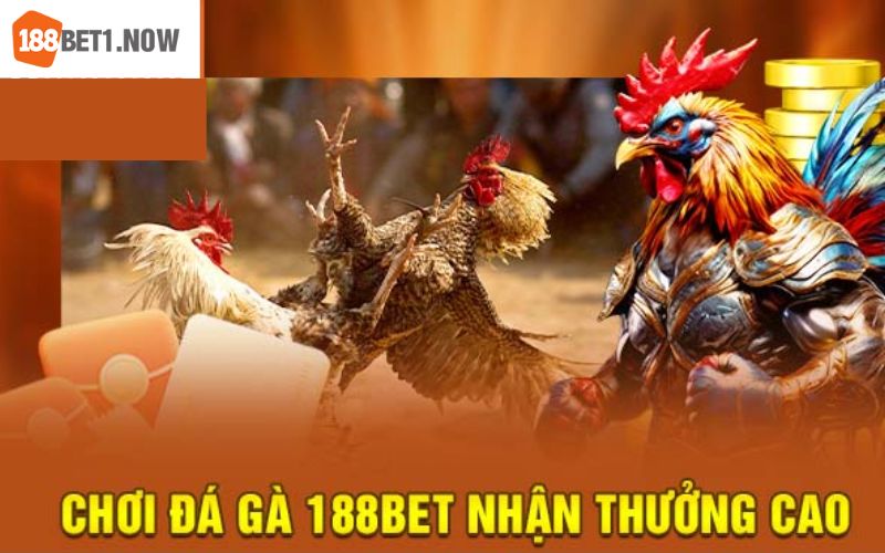 Điểm mạnh khi đến với chọi kê tại 188Bet hiện tại